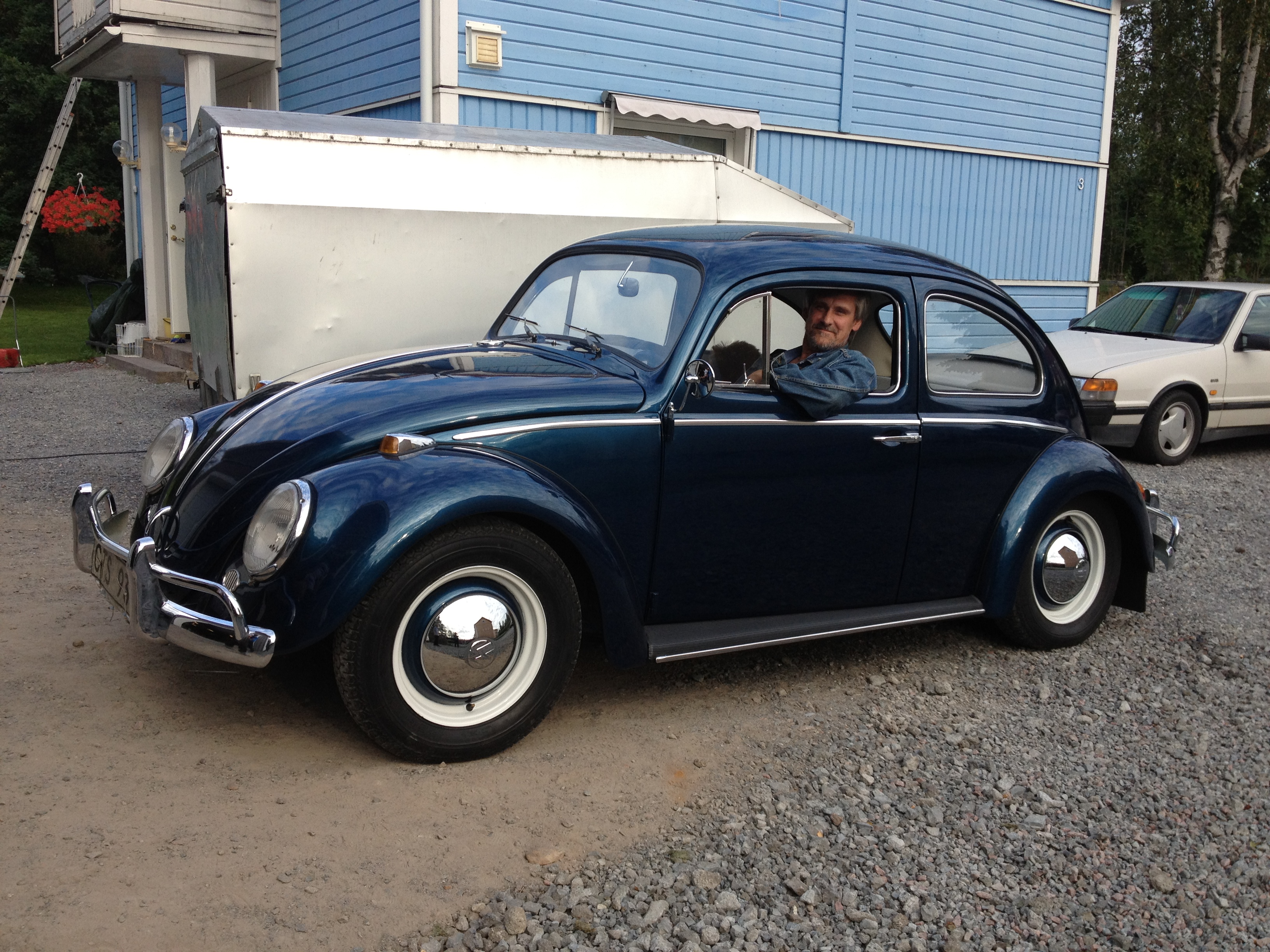 Vintage Volkswagen Beetles 105