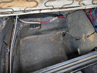 PXL 20250718 162042782