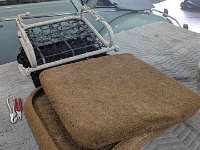 PXL 20250718 202049543