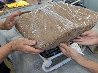 PXL 20250718 202933308