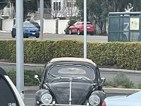 IMG 7946