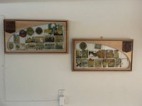 IMG 8694