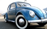 1959 Euro VW Beetle BuG; Named “CrAsH”