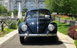 Classic VW BuGs Article Rubber Hits the Road on my Beetle Business