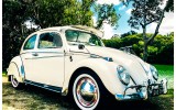 Classic VW BuGs Fan Mail from Down Unda 1967 Beetle and Accessories