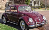 “Build-A-BuG” 1955 Ragtop Beetle Sunroof Oval Project!