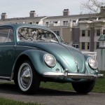 1955 Bug