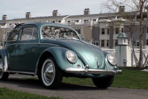 1955 Bug