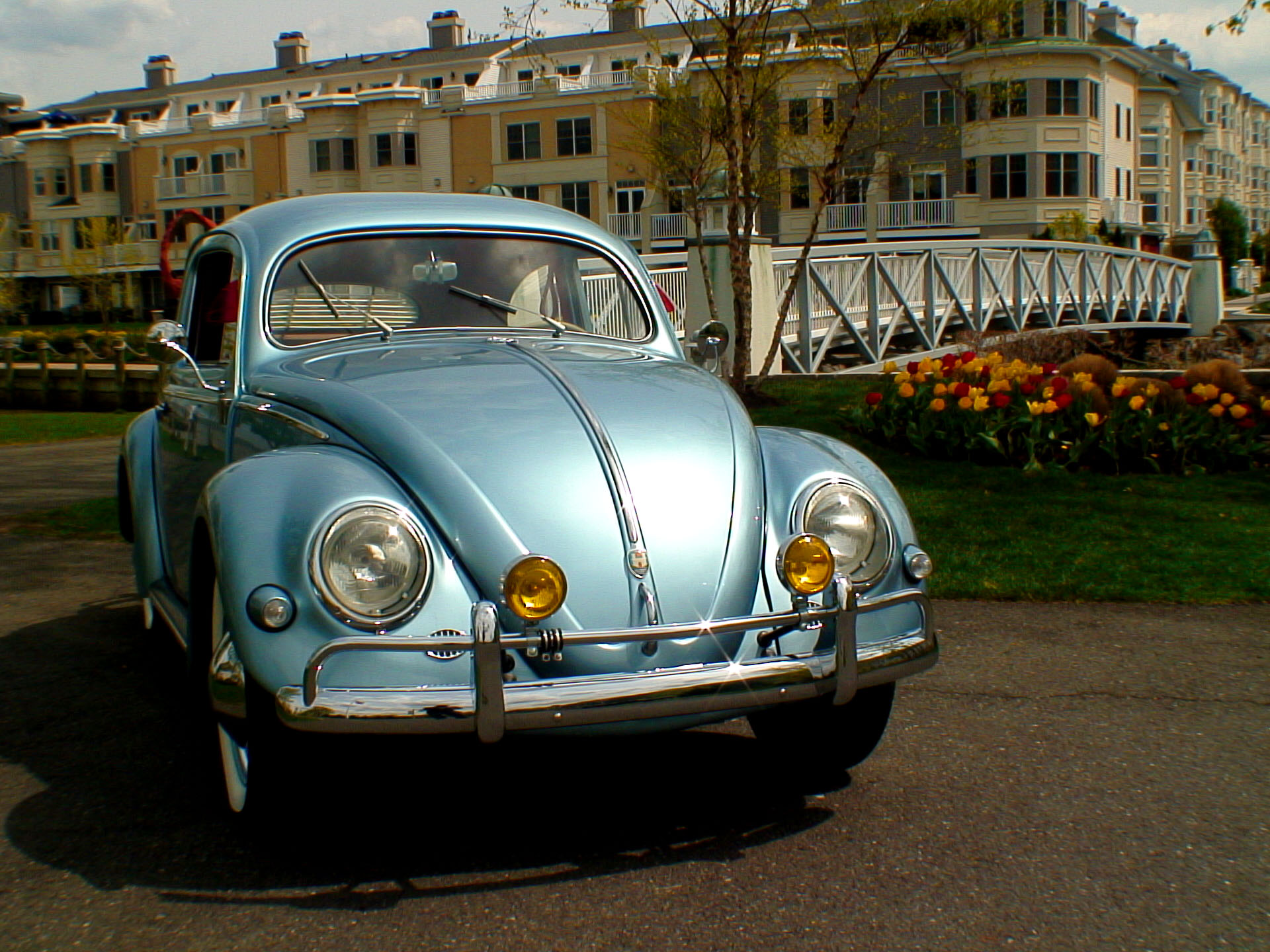 Classic Vw Bugs Chris Vallones Works Of Art For Your Volkswagen Beetle