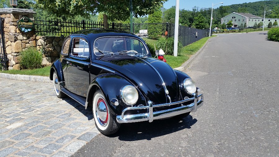 Classic Vw Bugs 1956 Oval Window Black Beetle For Sale Classic Vw