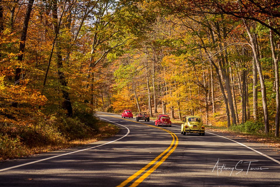 fall foliage cruise car show